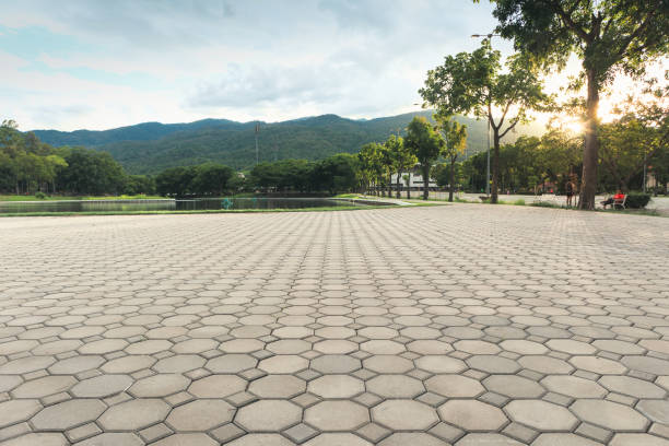 Best Custom Driveway Pavers  in Georgetown, SC